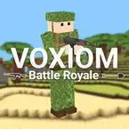 Voxiom.io